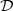 \mathcal{D}